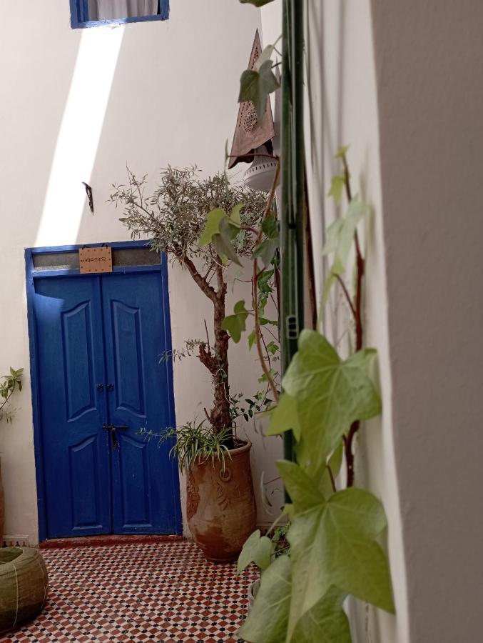 Riad Dar Lfonoun มาร์ราเกช ภายนอก รูปภาพ